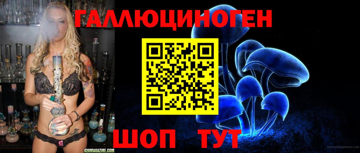 Псилоцибиновые грибы GOLDEN TEACHER Тамбов