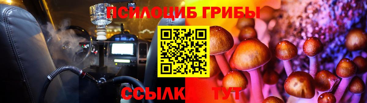 Тамбов  что такое   Вход с VPN  Галлюциногенные грибы прущие грибы 
